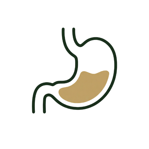 Gut Health