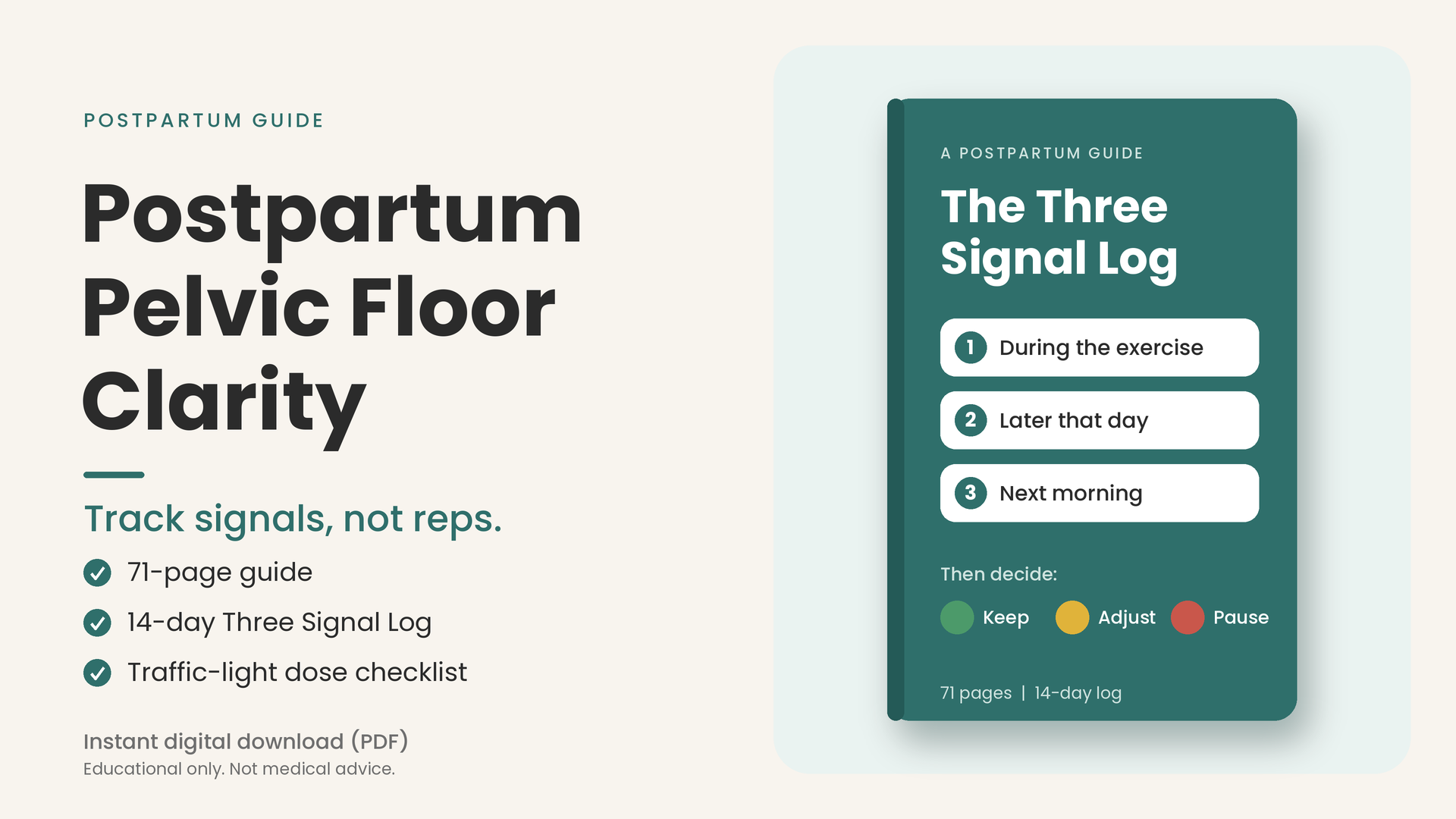  Postpartum Pelvic Floor Clarity