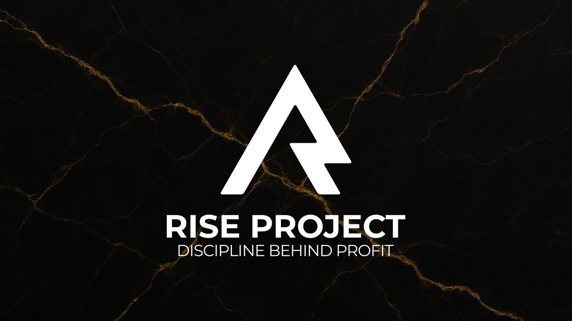 Rise Trading Foundation