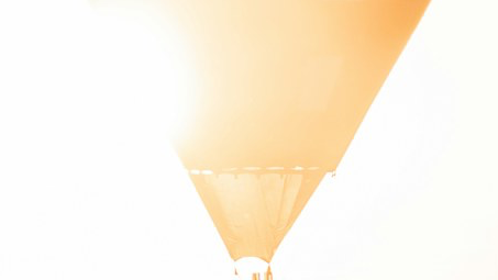 Confidence Building System for Professionals
