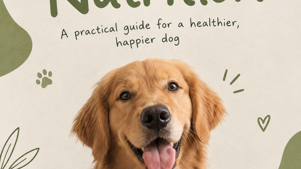 Specialised Nutrition & Wellness For Dogs