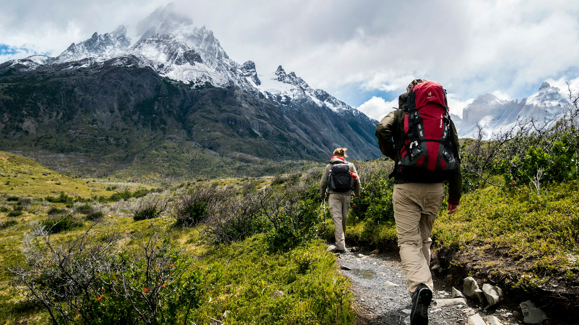 The 6-Week Longevity Protocol