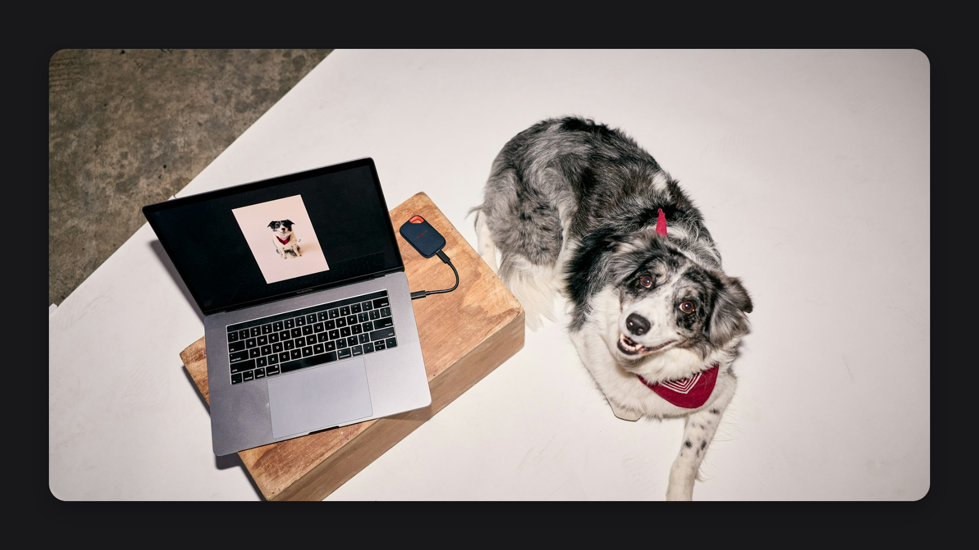 Run an AI agent or automation tool. No server setup needed