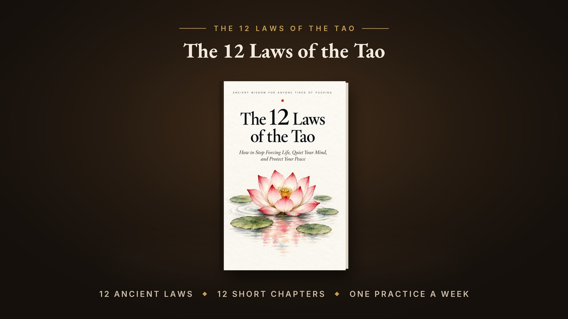 The 12 Laws of the Tao