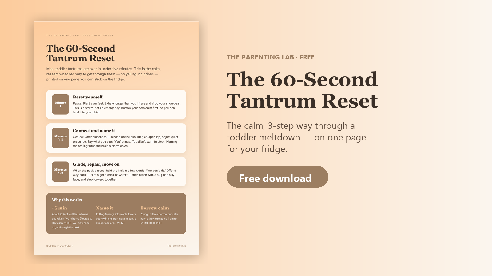 Toddler Tantrum Quick Reference (Free)
