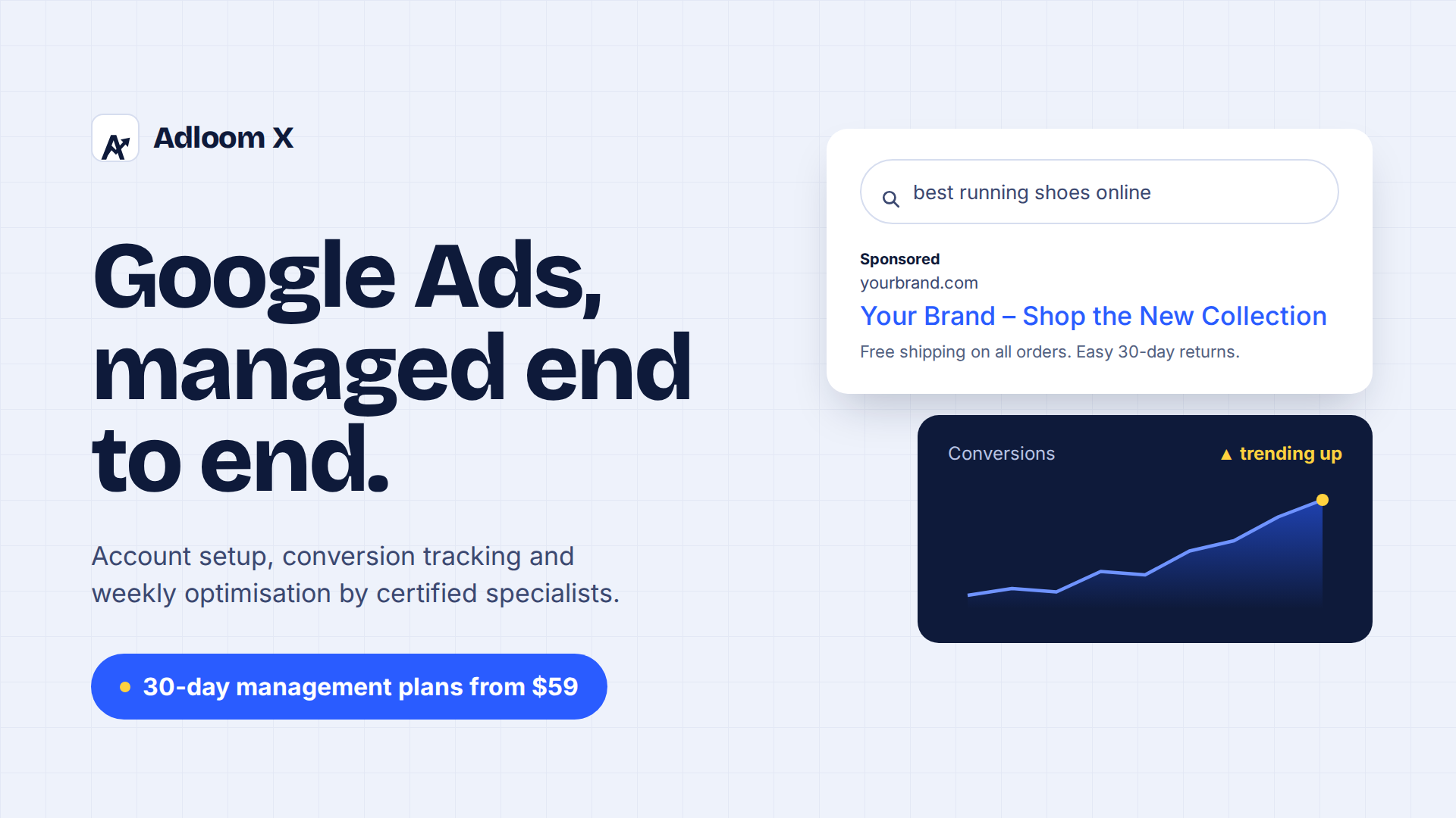 Google Ads Marketing & Management Service