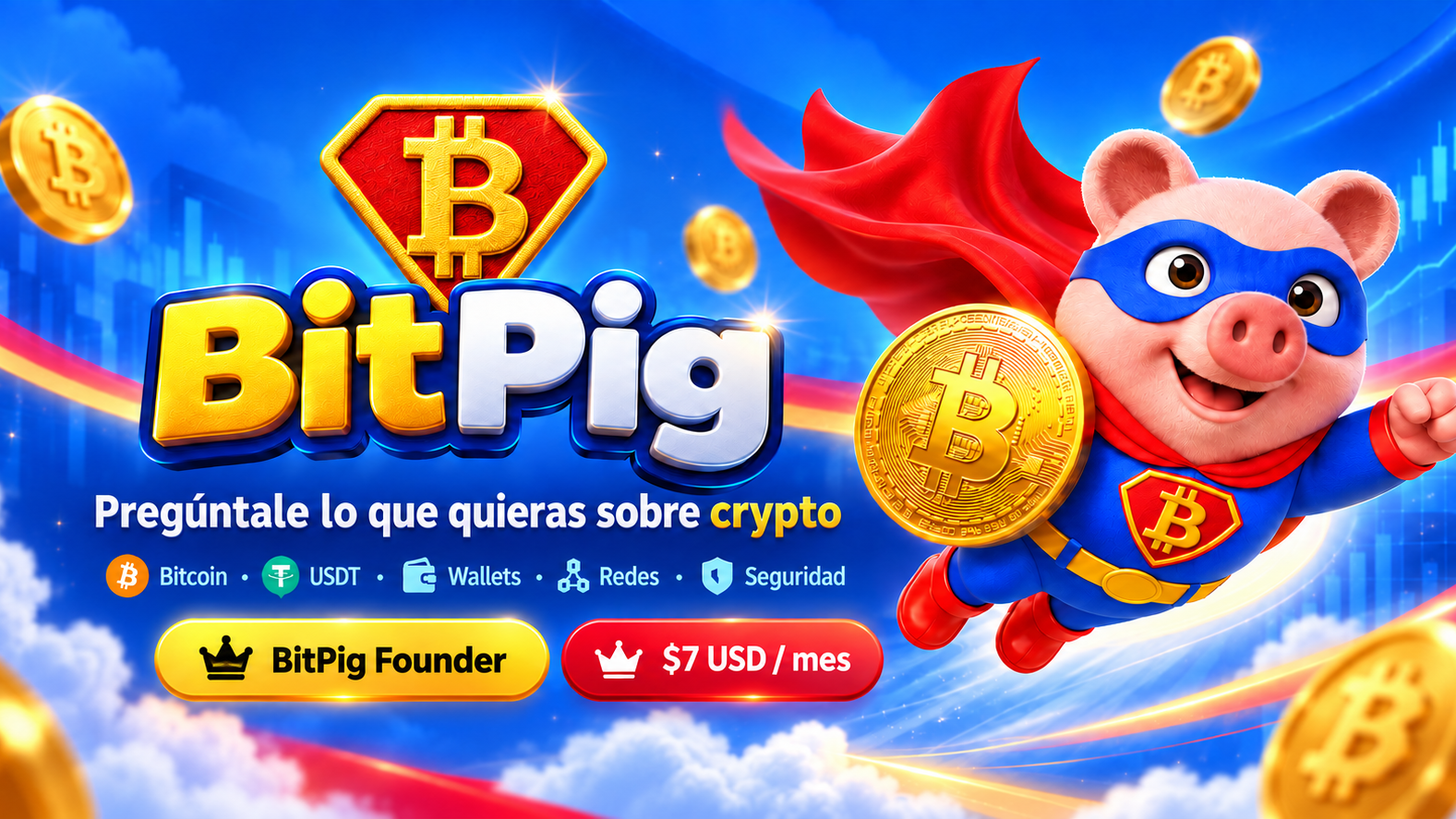 BitPig Founder