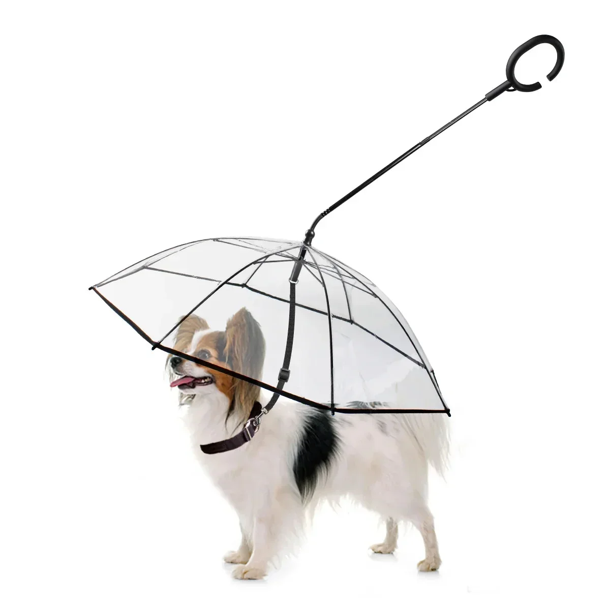 Dog Drinking Water Bowl - Floating Design