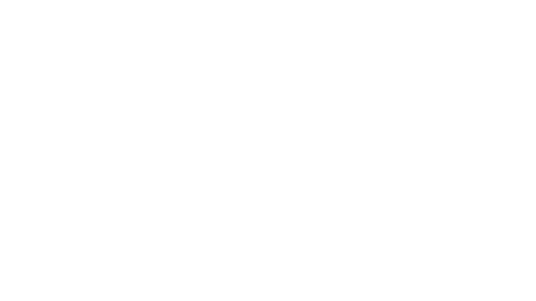 1:1 Mentoring With Mo