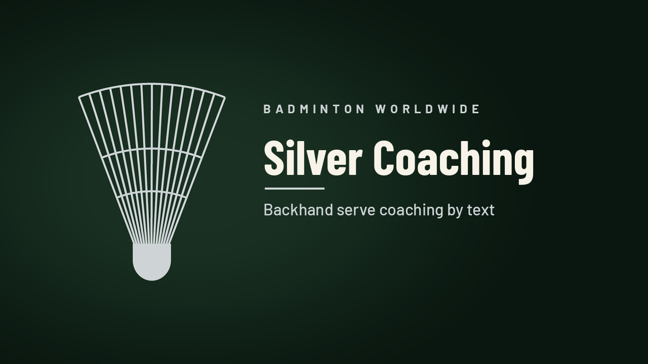 Serve Mastery Coaching - Silver
