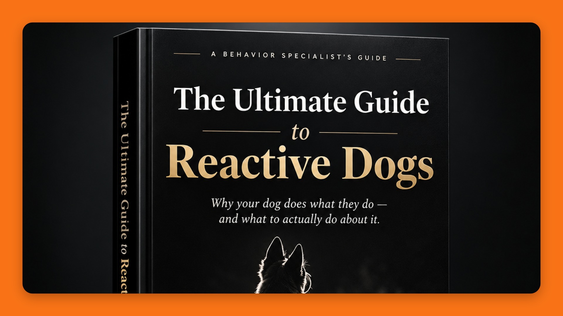 The Ultimate Guide to Reactive Dogs