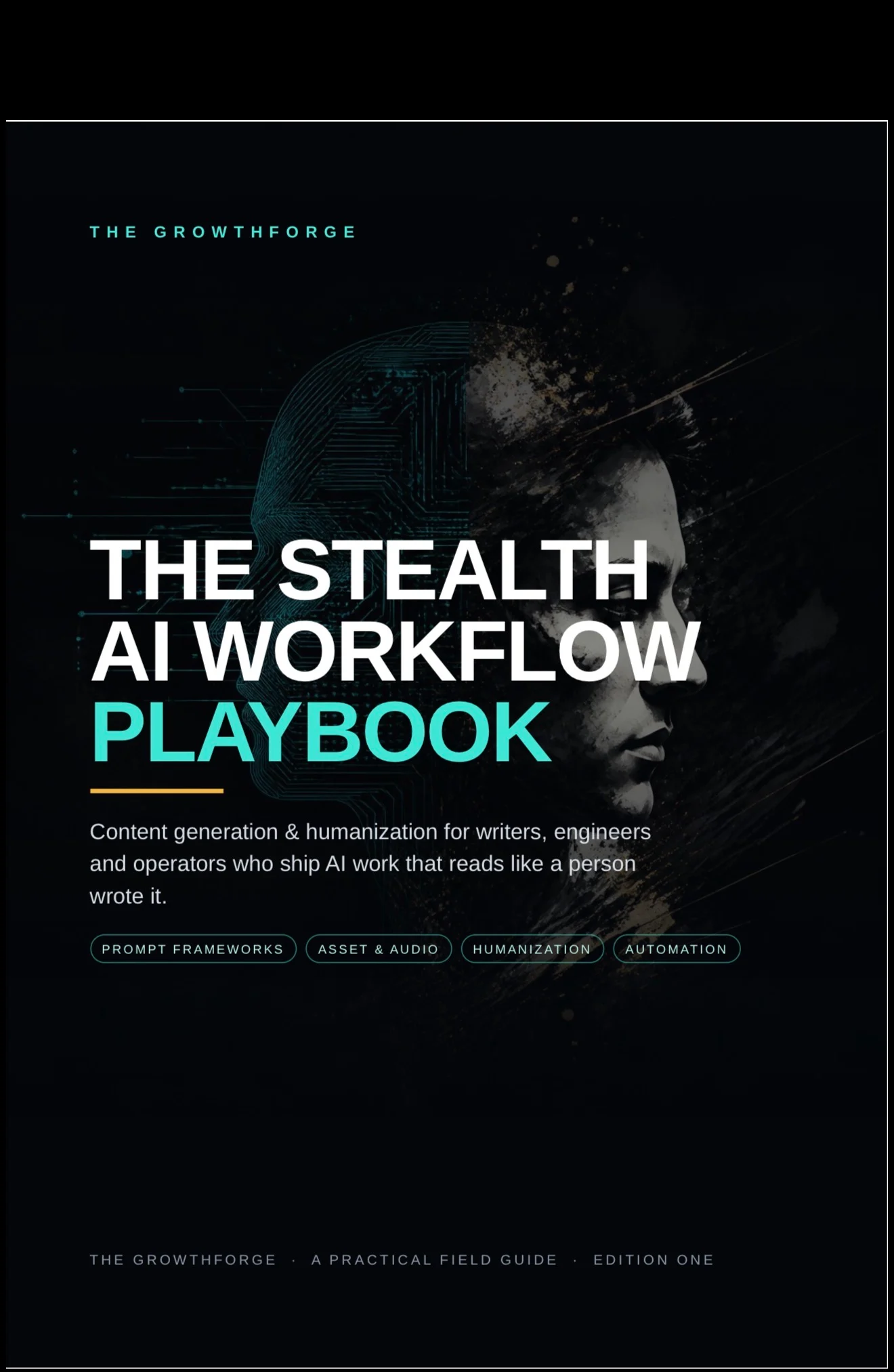 Stealth-AI-workflow-playbook