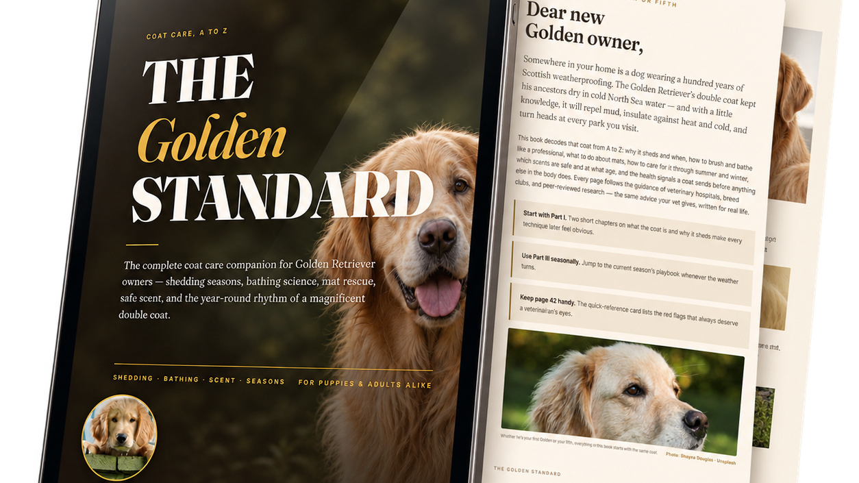 The Golden Standard + Canine Smile Bundle