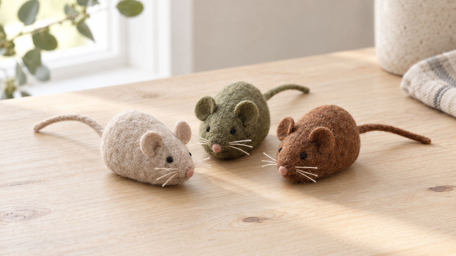 Pocket Mice
