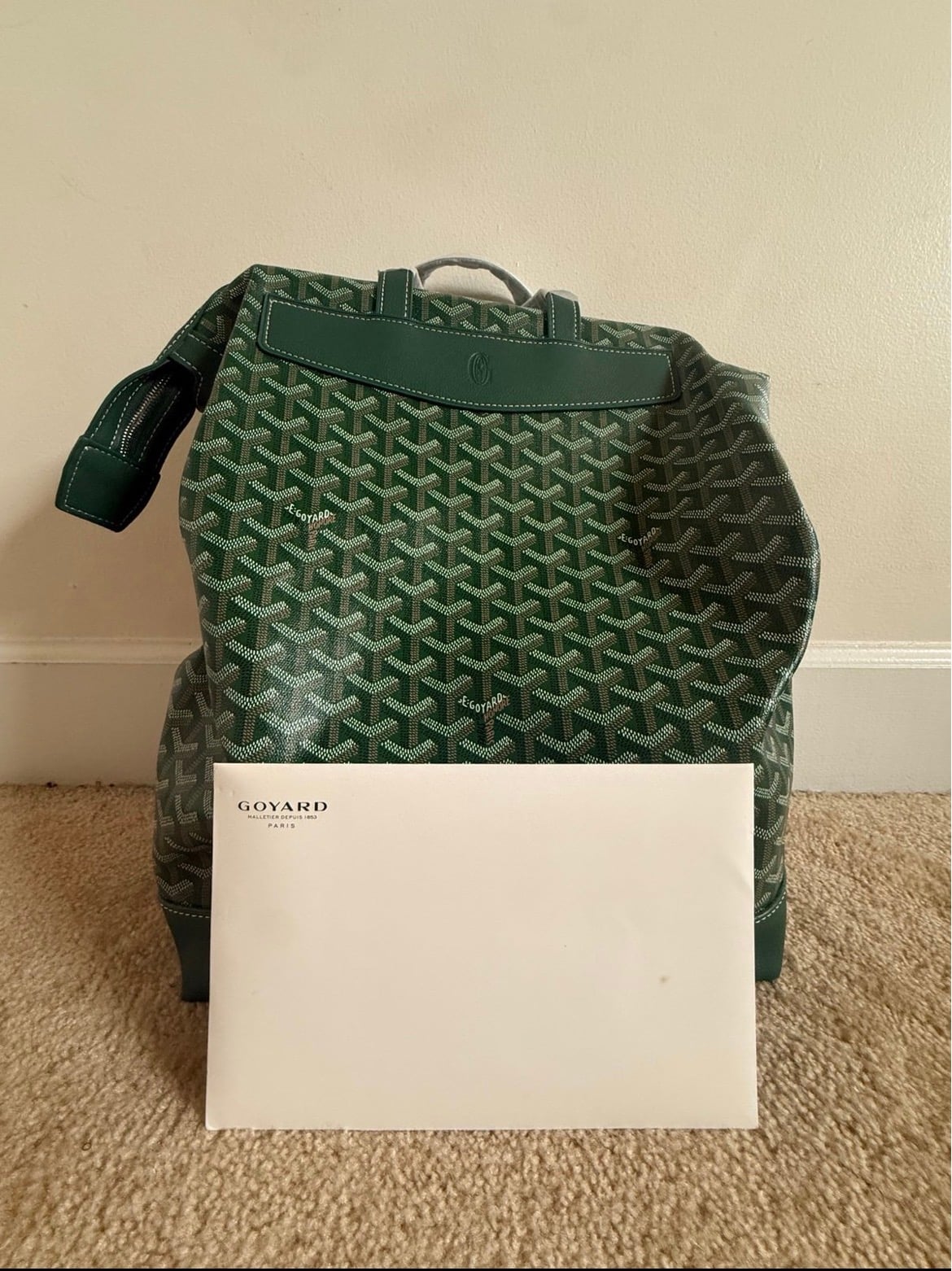 Goyard Cisalpin Backpack in green