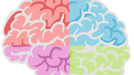 COLOURED BRAIN PROMO 