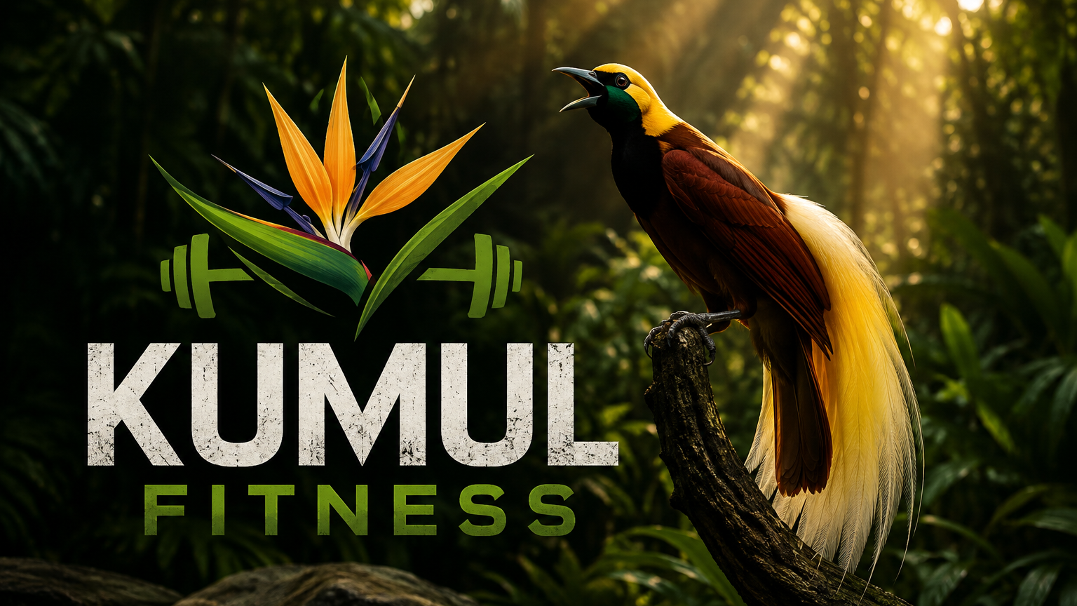 KUMUL FITNESS