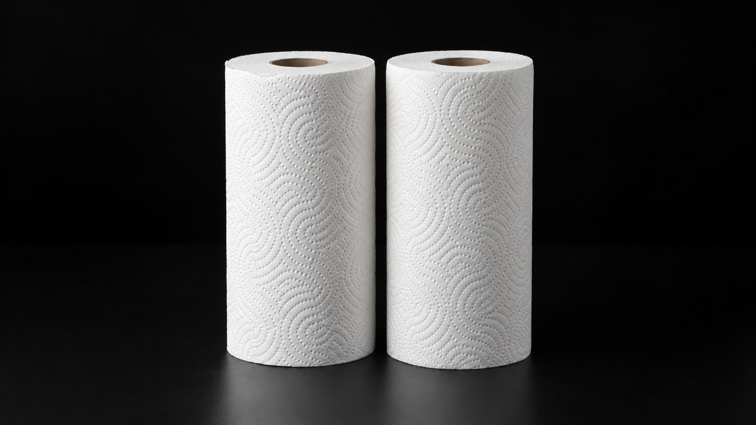 Paper Towels 2-Pack