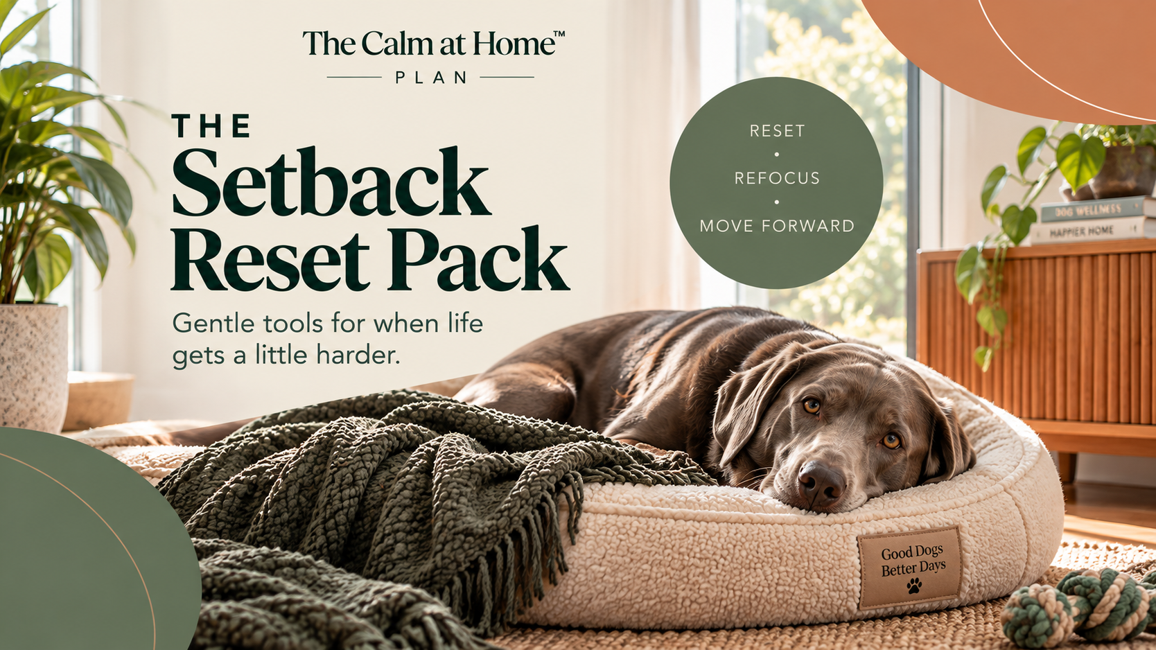 Calm-at-Home™ - Setback Reset Pack