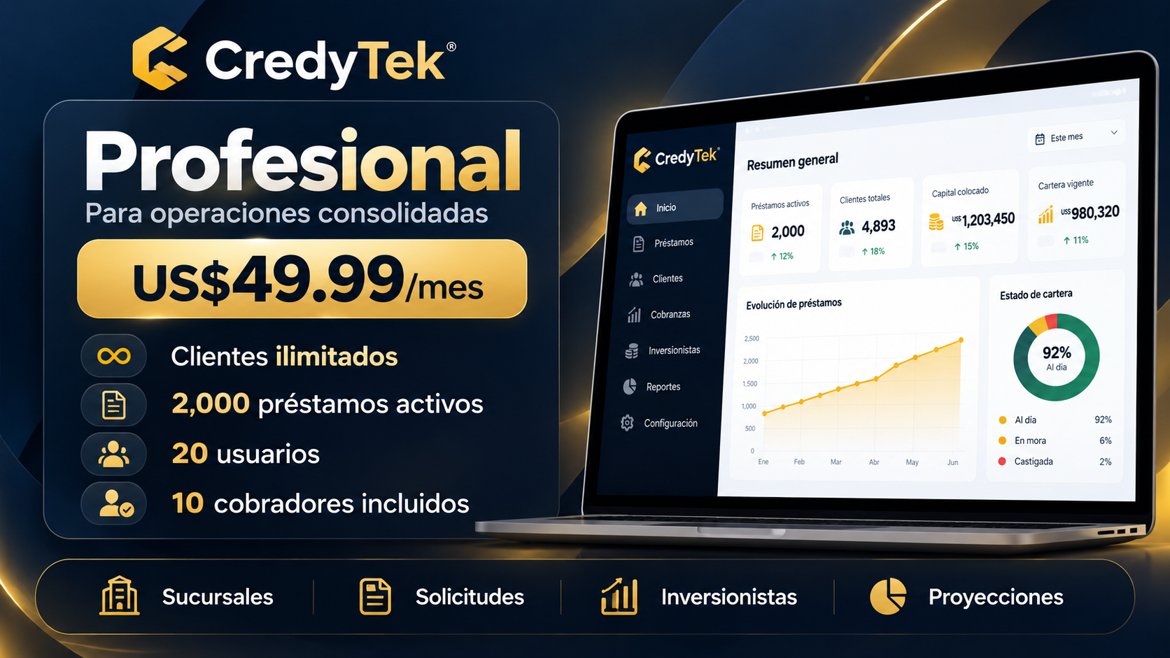 Profesional