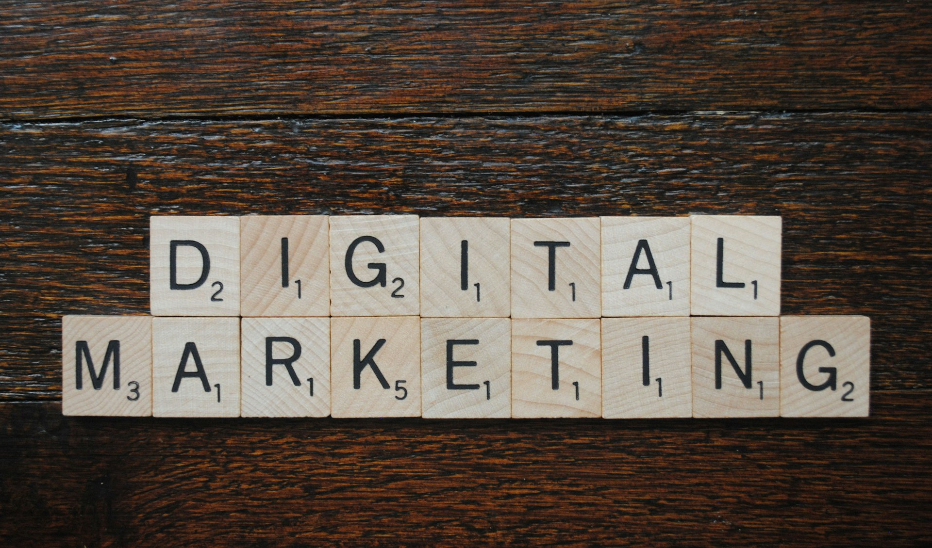 Beginner to Pro Marketing Course