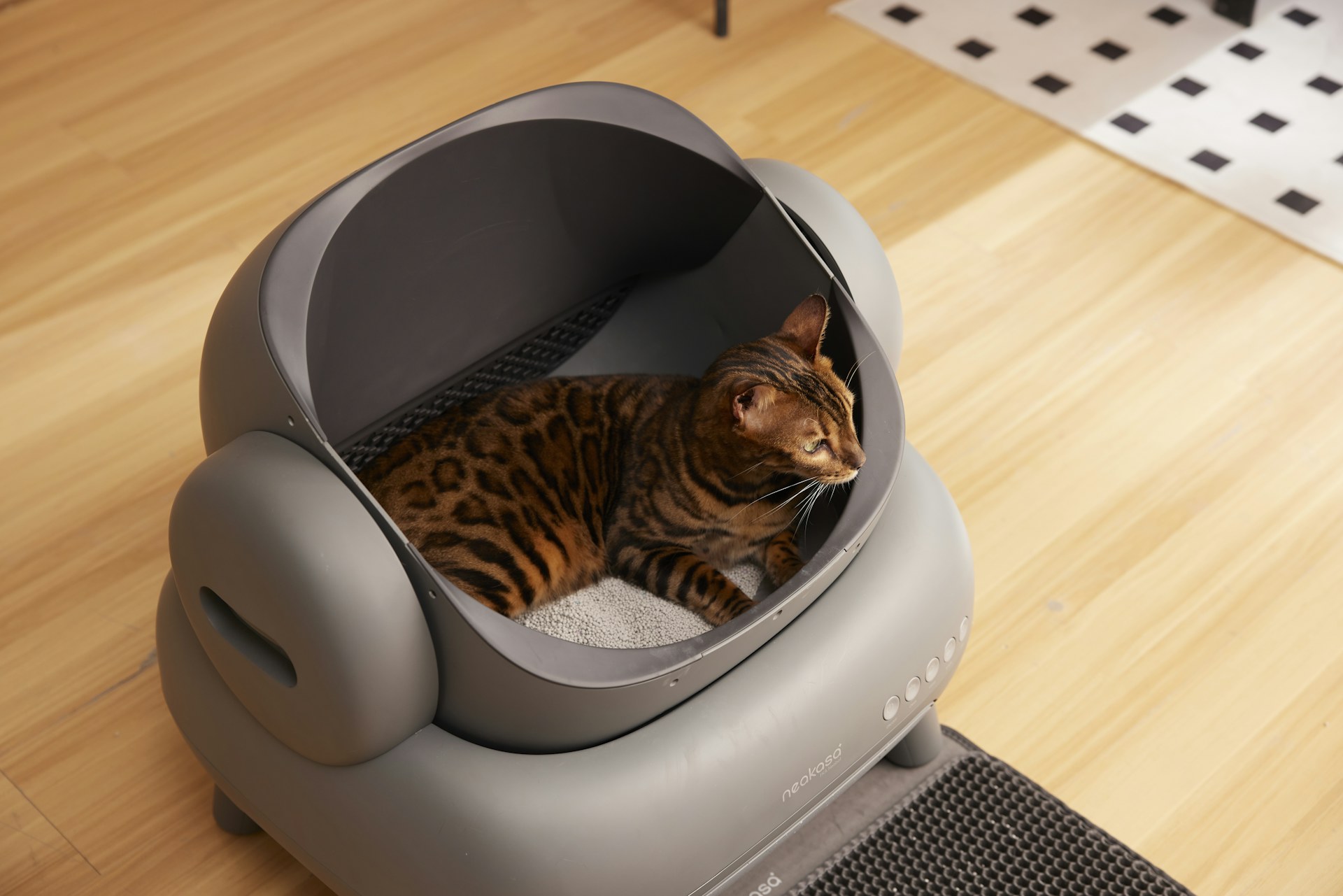 Litter Box Dos and Don'ts