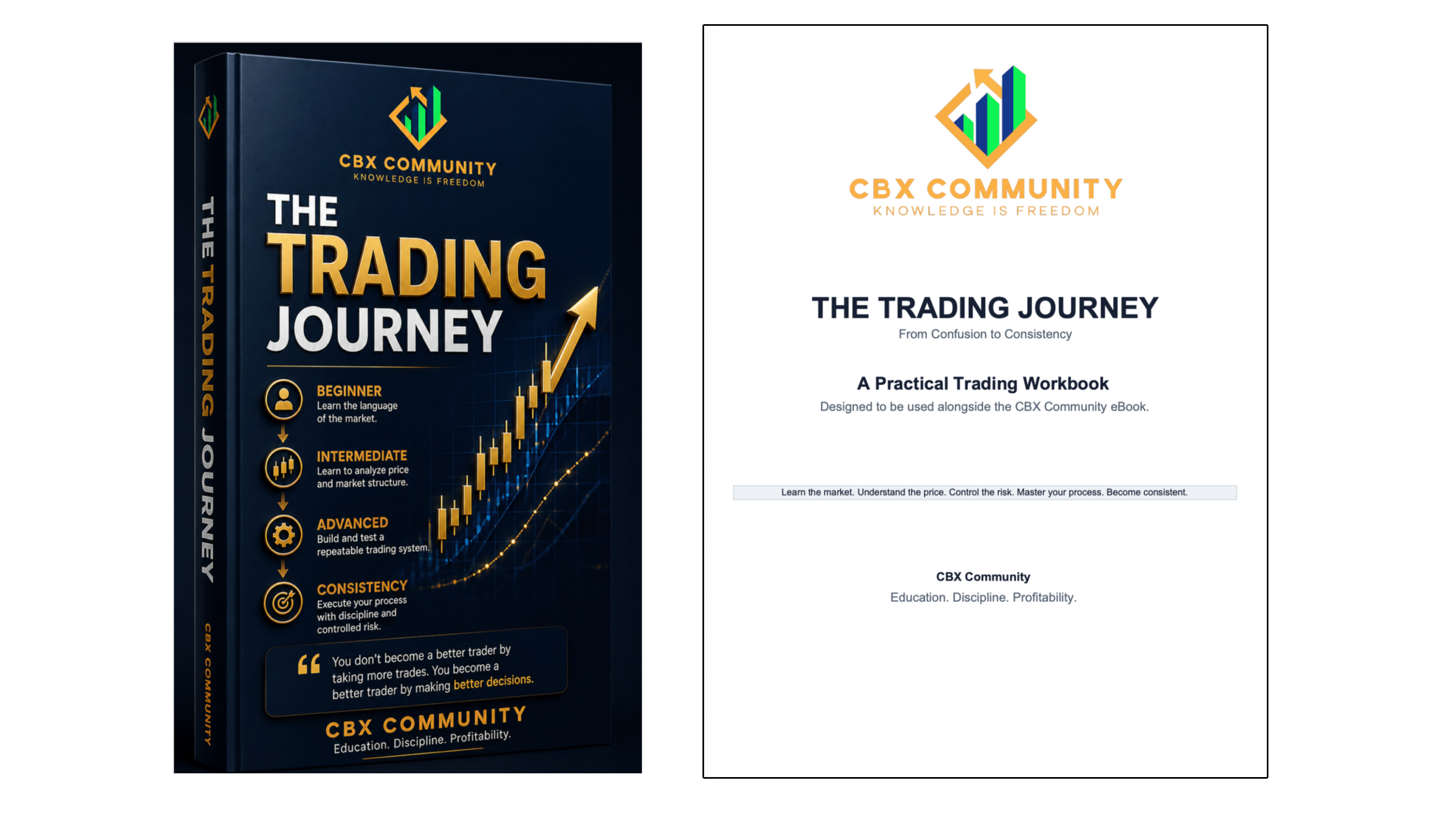 The Trading Journey ebook