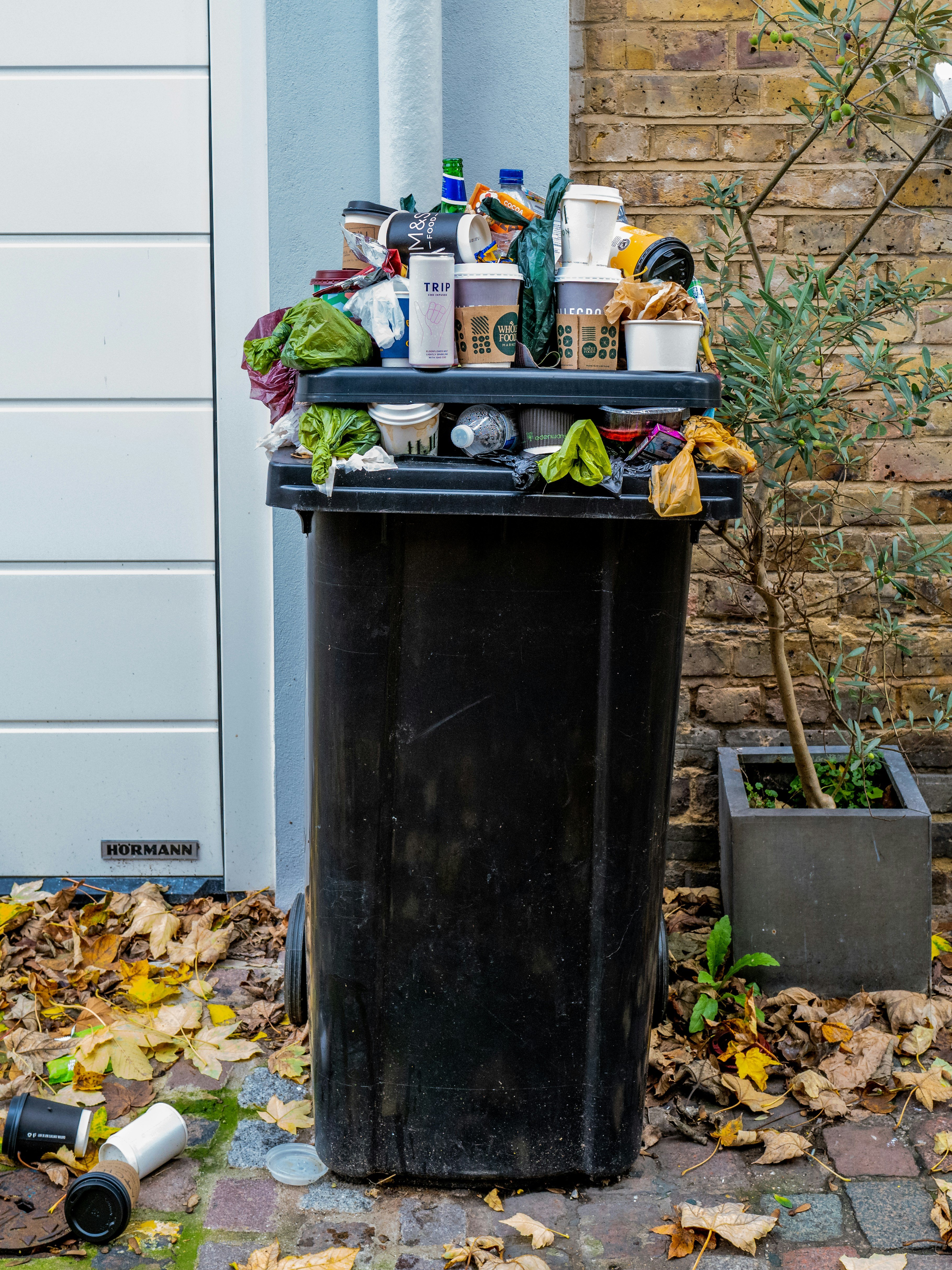 Bin Cleaning