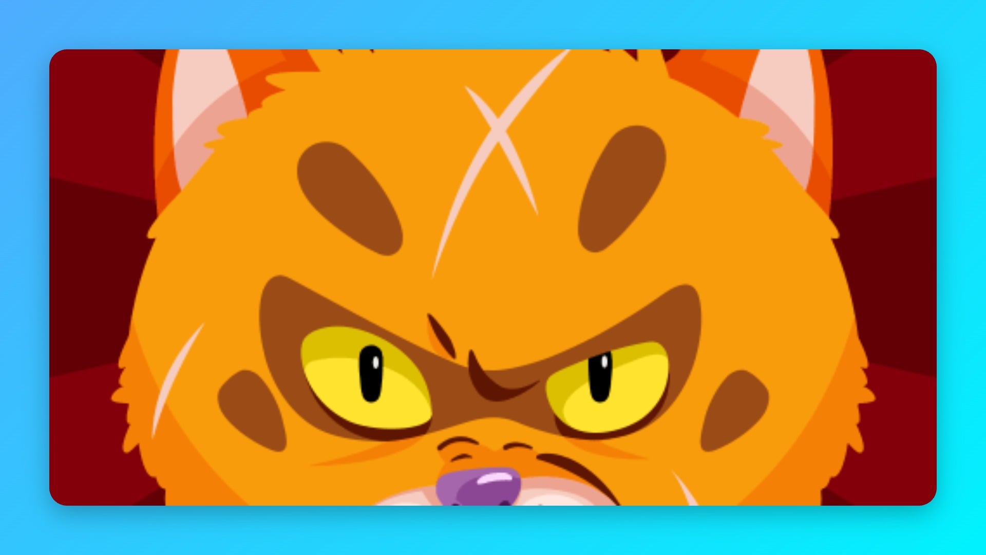 furry cat