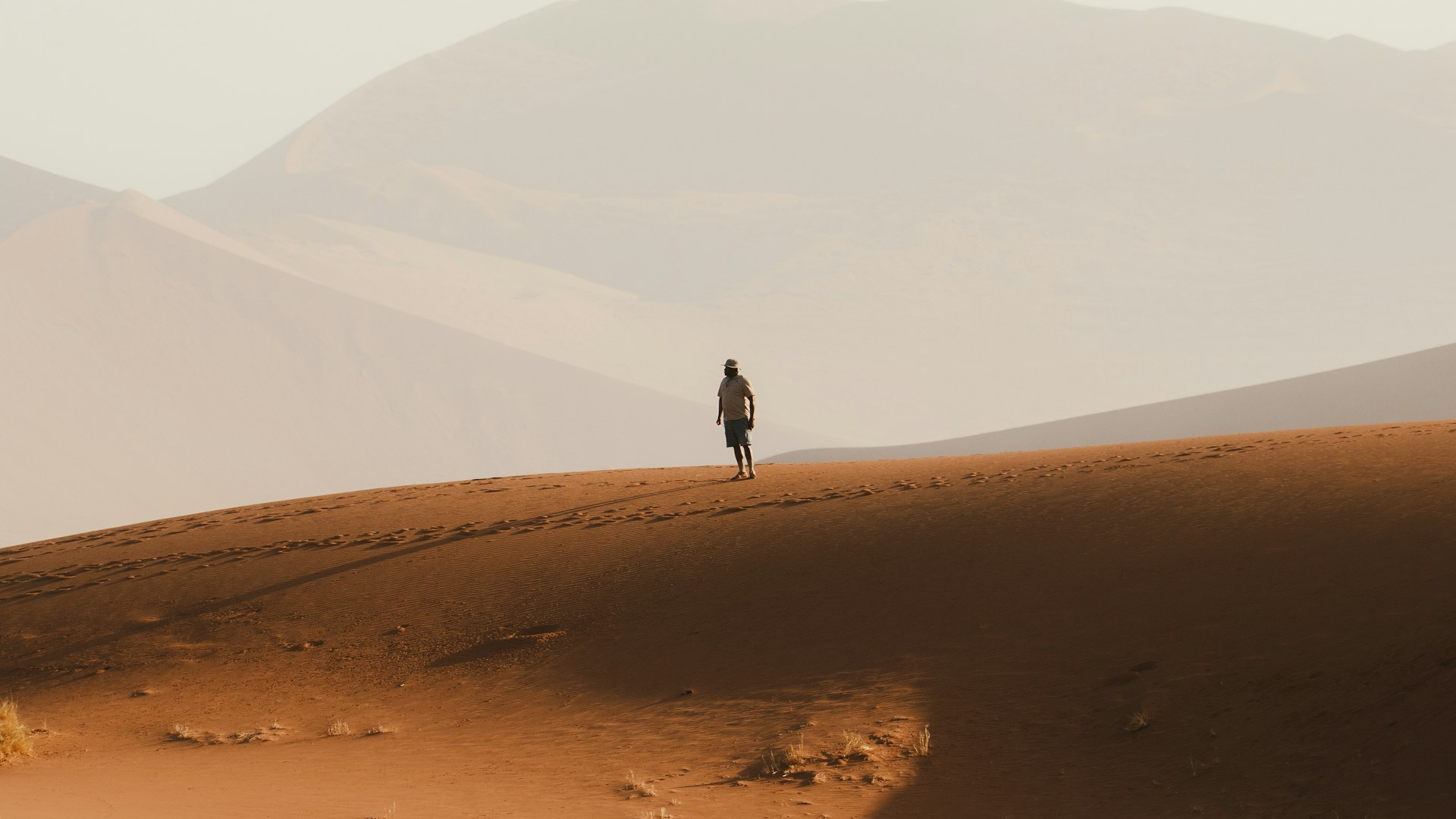 Habit Mastery Program