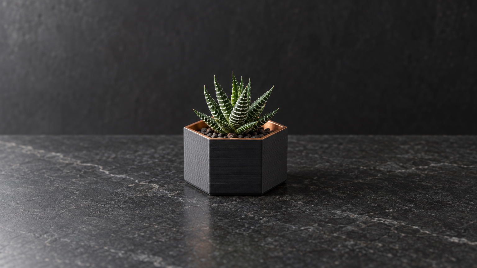 Hex Planter — Print-Ready STL