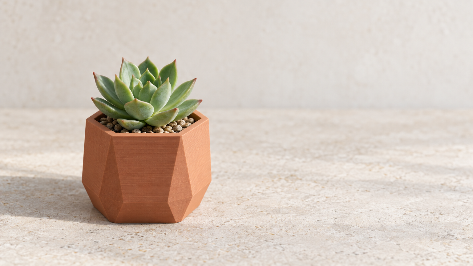 Hex Planter — Print-Ready STL