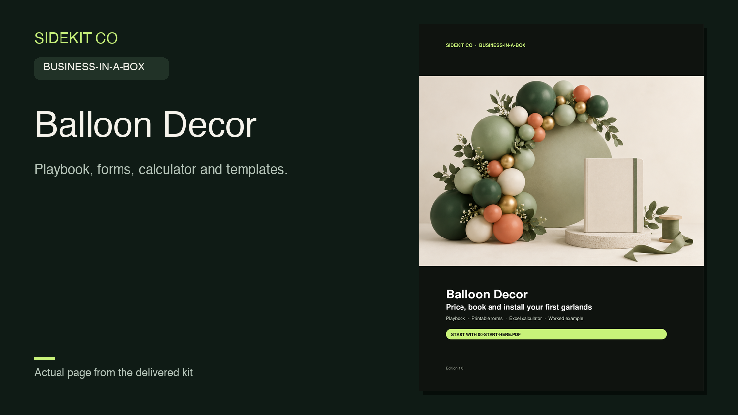 Balloon Decor Business-in-a-Box