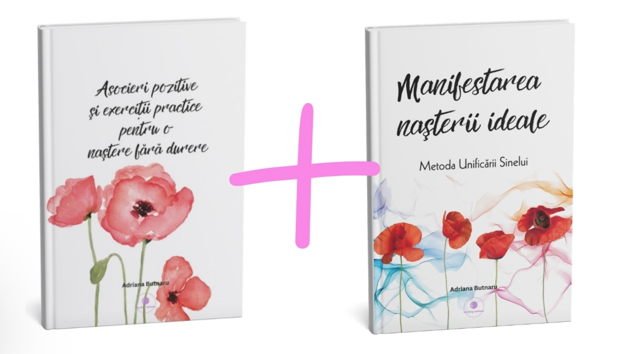 Pachet Cărți Birth Mastery RO