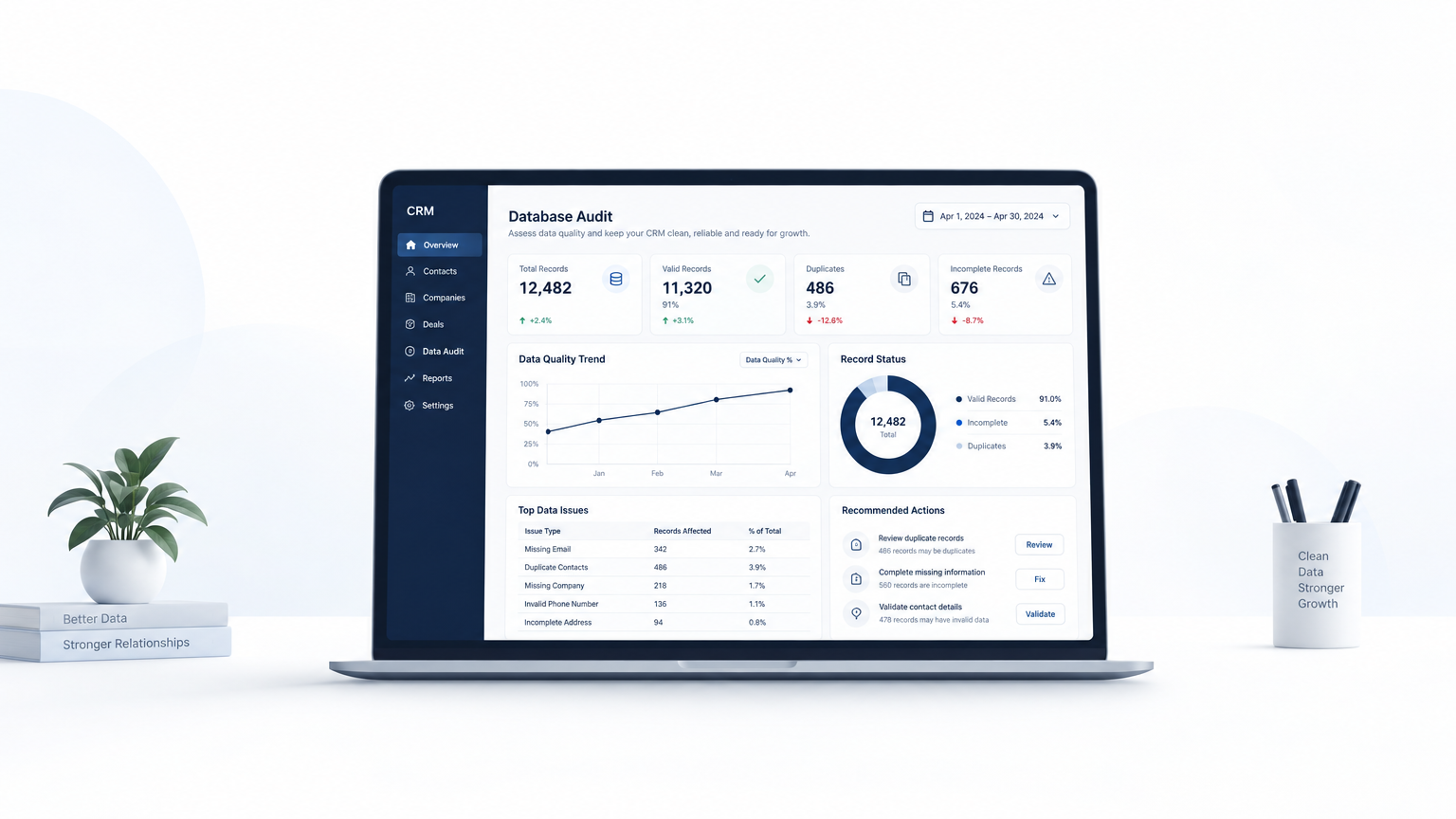 CRM Data Cleanup Audit