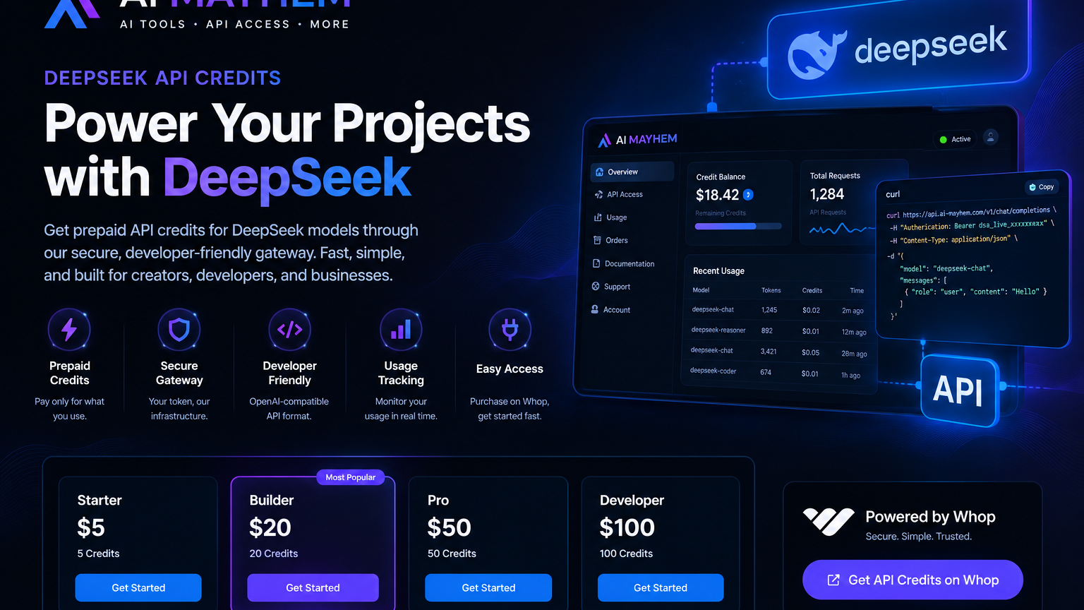 DeepSeek API Credits