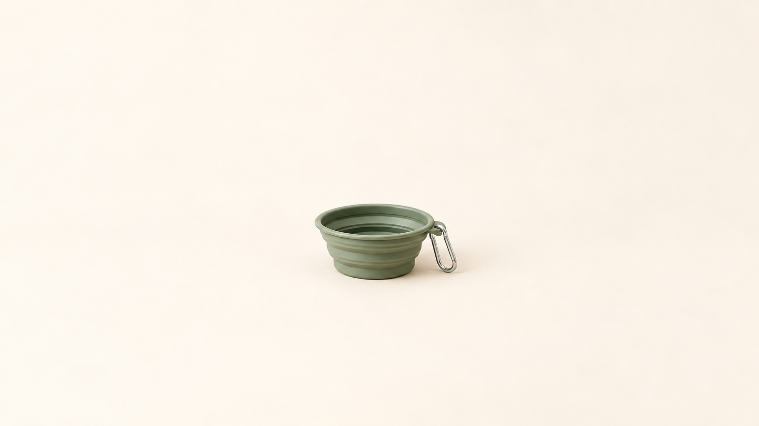 Go-Anywhere Pet Bowl