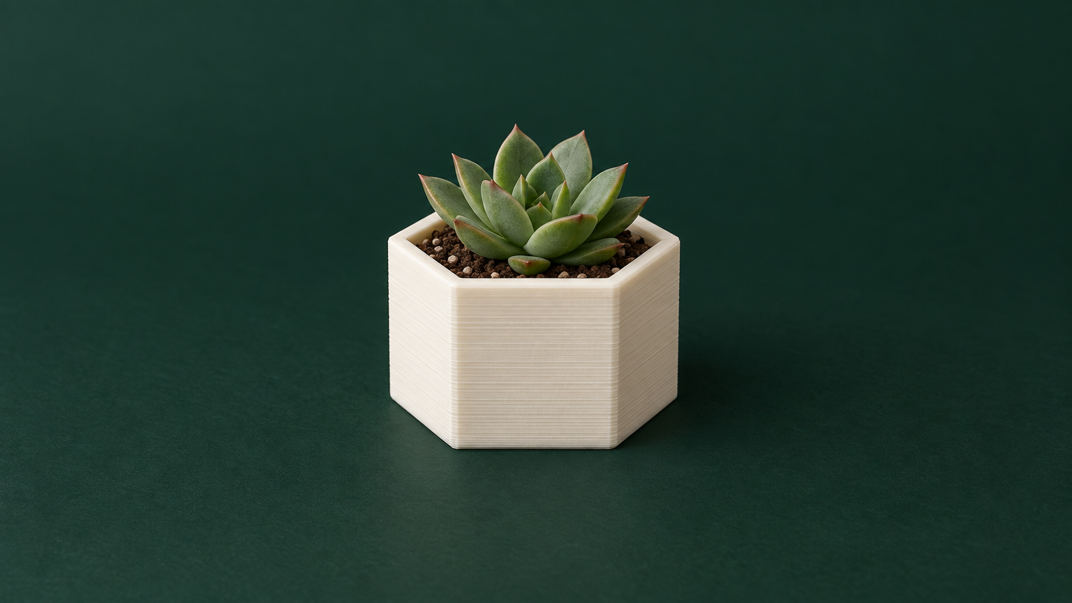 Hex Desk Planter - Print-Ready STL