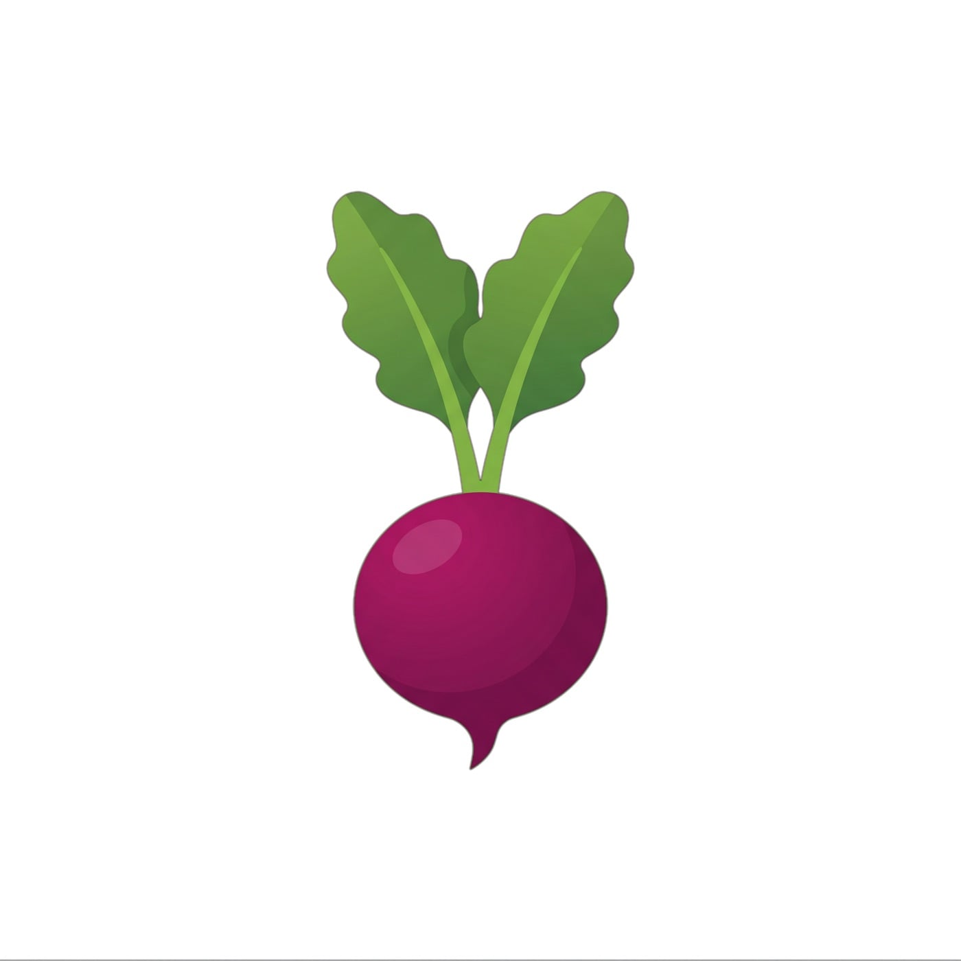 Beetroot Powder