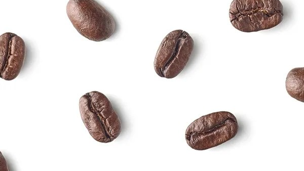 Different Types of Beans