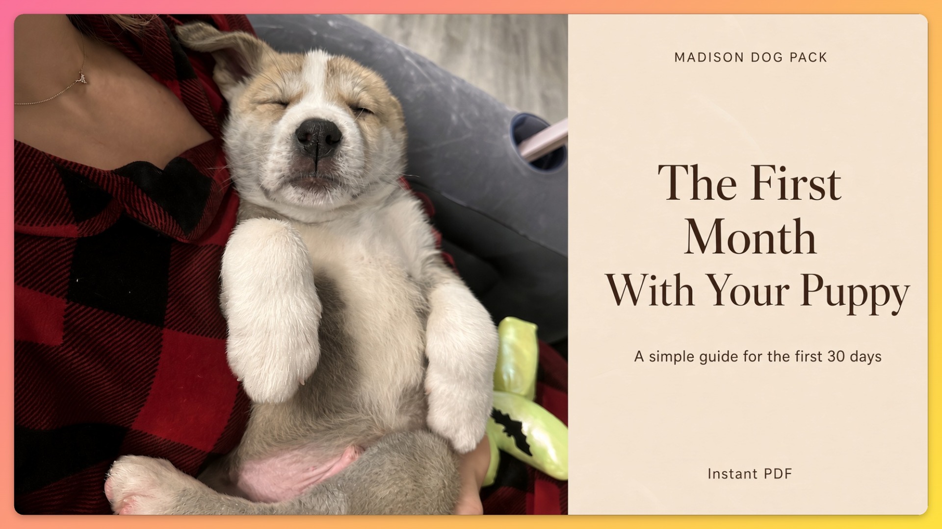 The First Month With Your Puppy Guide