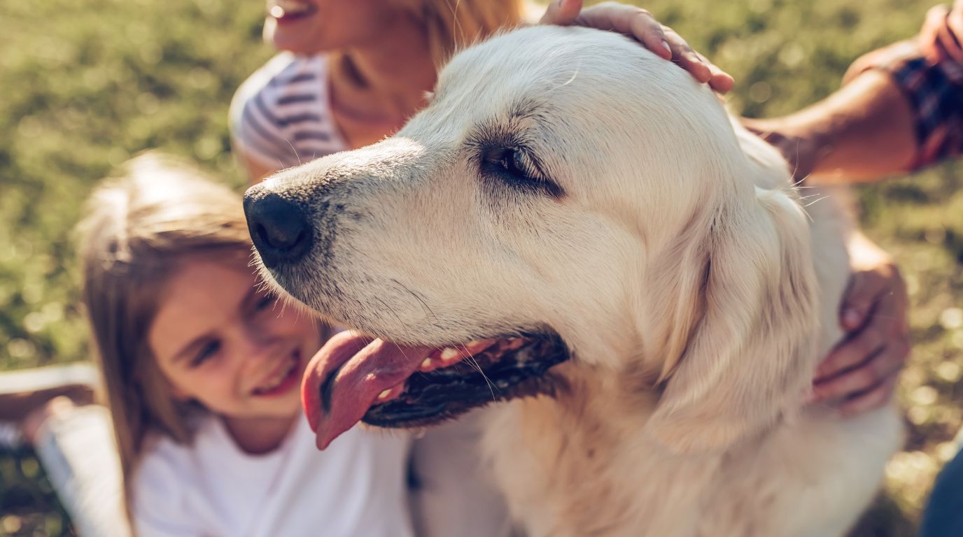 Happy dog with family