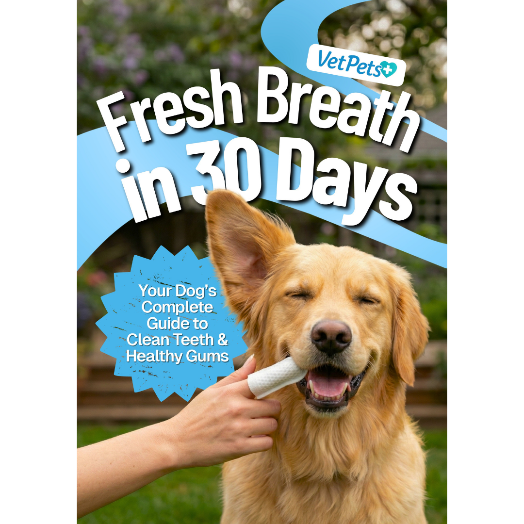 E-book - Fresh Breath in 30 Days (No Toothbrush Needed)