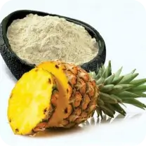Sliced pineapple and a bowl of pineapple powder on a white background.