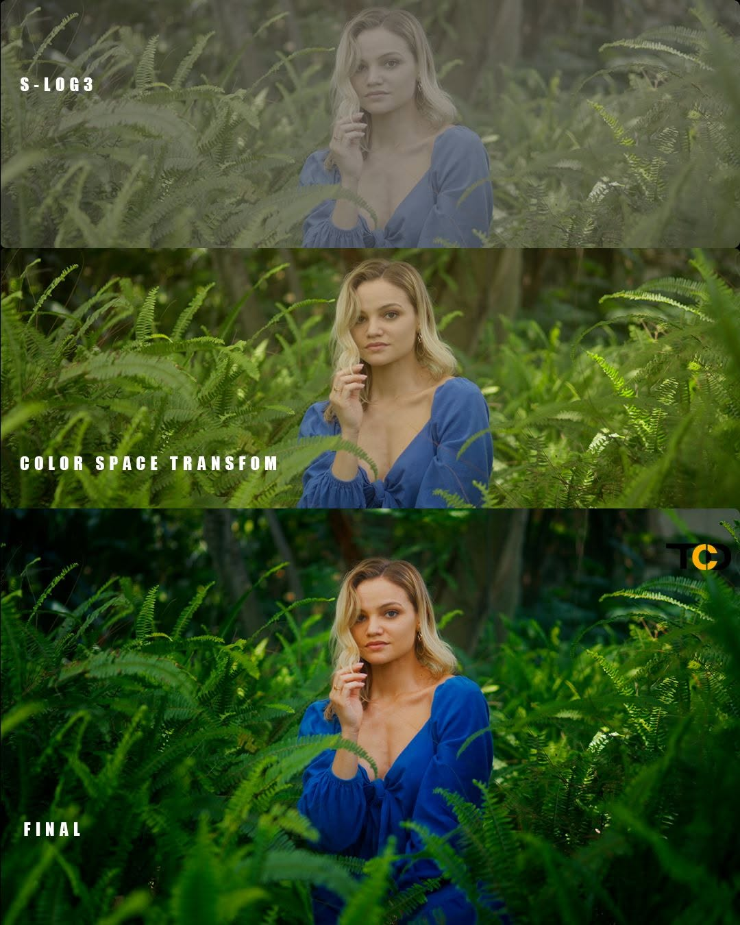 Color Grading Luts & VFX Presets