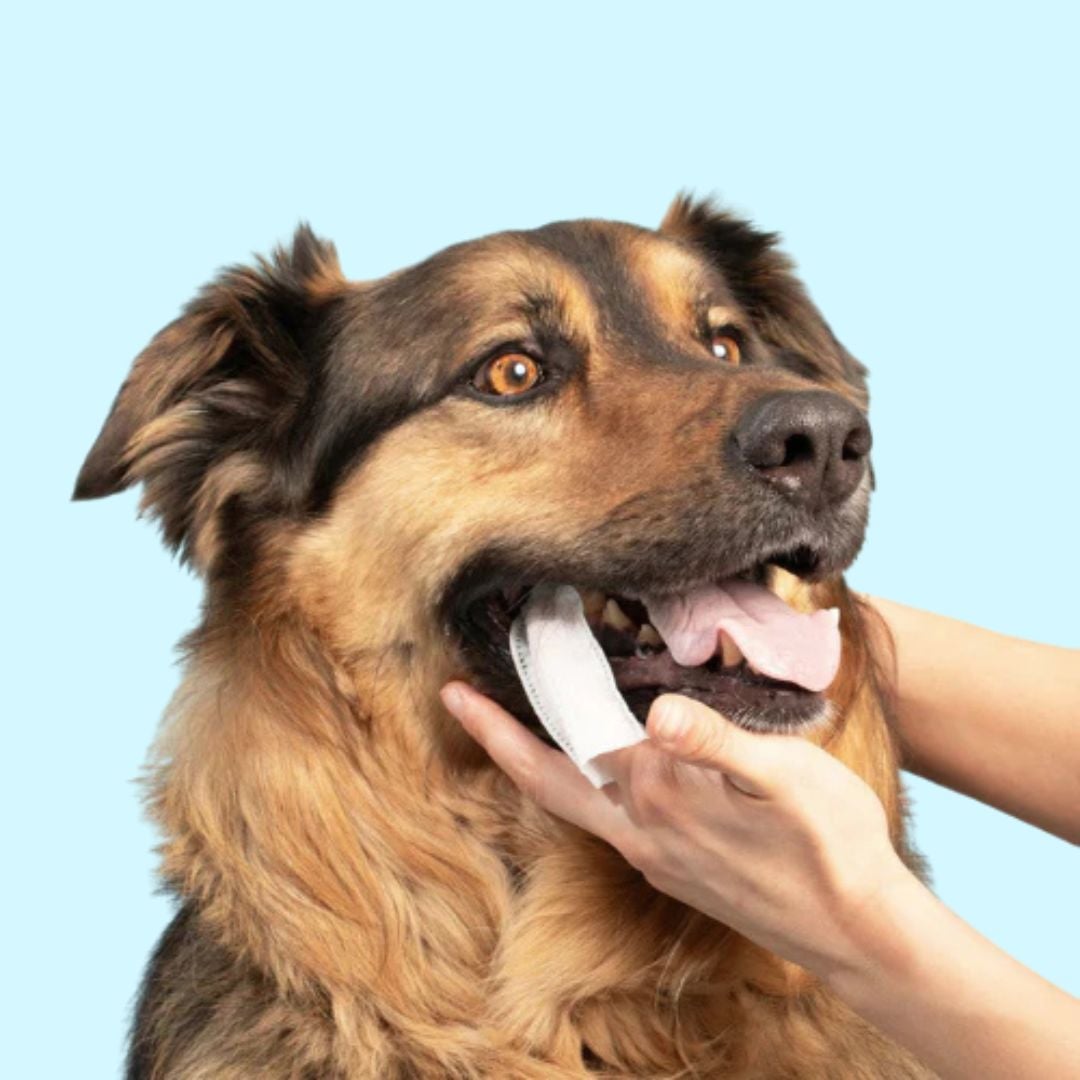 VetPets Products