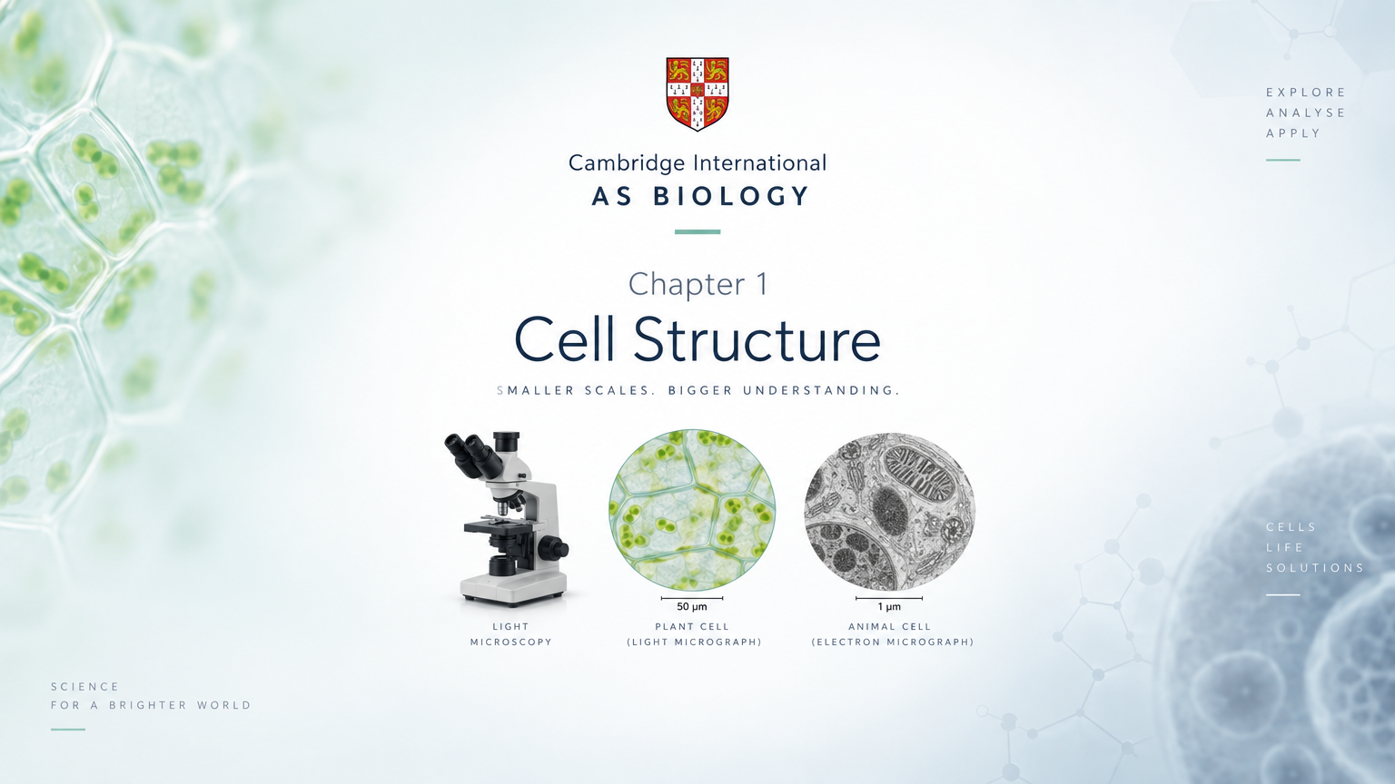 AS BIO 9700 | CHAPTER 1 - CELL STRUCTURE - COMPLETE LESSON