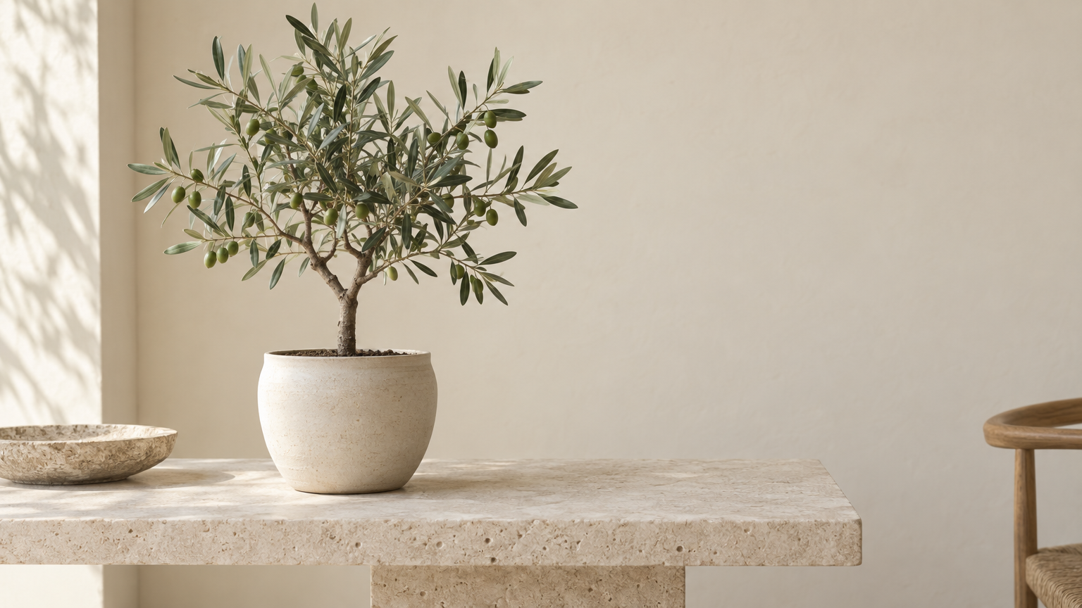Potted Plant