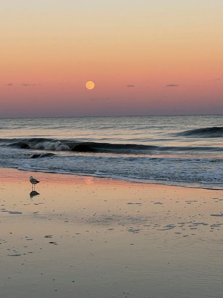 Moonrise Over the Atlantic-2