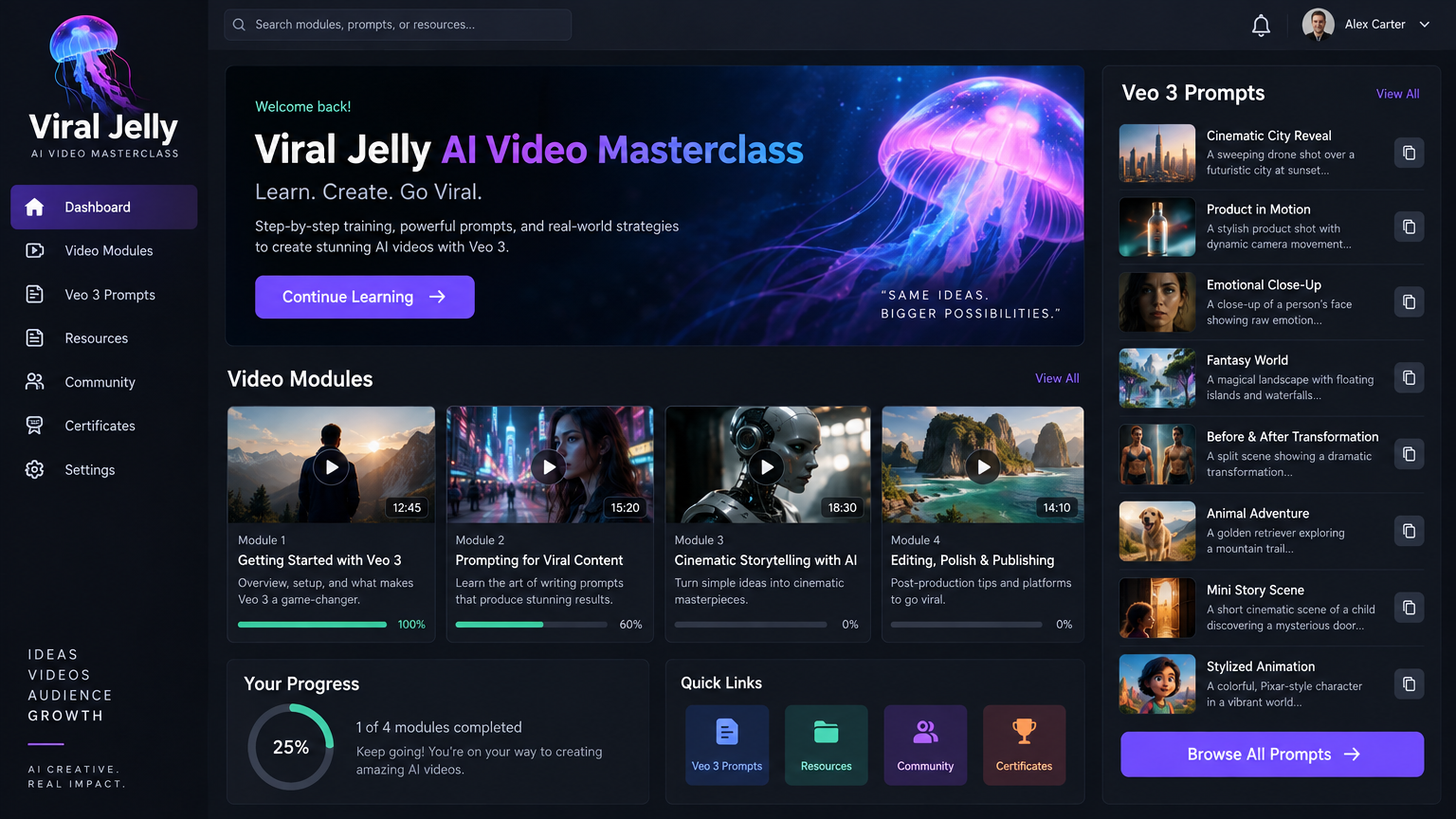 Viral Jelly AI Video Masterclass